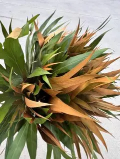 よーちゃん様 リクエスト 2点 まとめ商品