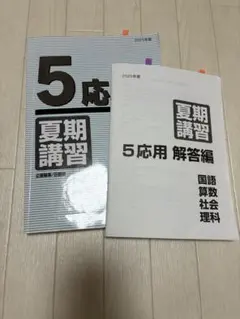 2026年最新】日能研 5年 夏期講習の人気アイテム - メルカリ