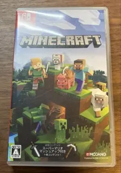 Minecraft Nintendo Switch版