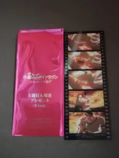 小林さんちのメイドラゴン 映画 特典 しおり