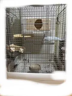 2026年最新】イージーホーム60ハイの人気アイテム - メルカリ