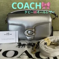 COACH チャーター フラップ クロスボディ 24グレーブルー - メルカリ