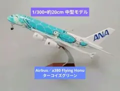 8/2. new! Airbus a380／ホヌ ターコイズグリーン中型
