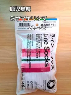 ファミマ ラインソックス 鹿児島県限定 ミヤマキリシマ 22-25cm