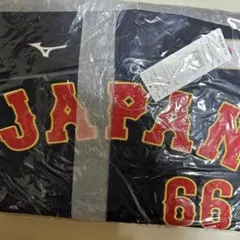 万波中世　侍ジャパン　ビジターユニフォーム　Lサイズ　日本ハム