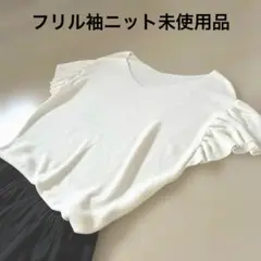 フリル袖 薄いアイボリーホワイト ホームクリーニングのみ未使用品