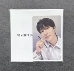 SEVENTEEN セブチ ウォヌ トレカ ベアブリック 公式品 - メルカリ