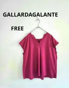 GALLARDAGALANTE　Vネック 半袖プルオーバー フレンチスリーブのサムネイル