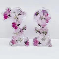 男の子と女の子のセット　桜たっぷりのオブジェ　固まるハーバリウム