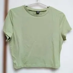 SHEIN 半袖Tシャツ トップス グリーン Lサイズ　レディース　夏服