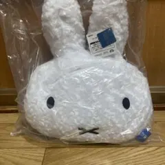 Item thumbnail for item 7ae37a00-7559-43f1-a2d9-1878f3d4e71b