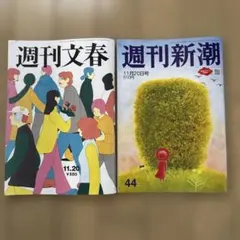 週刊新潮　週刊文春 2025年11月20日 2冊セット