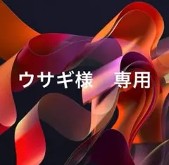 ウサギ様　専用2