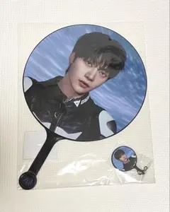 メテュ アイドル