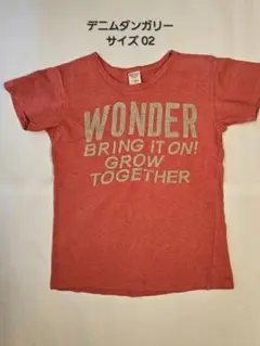 Denim Dungaree デニムダンガリー Tシャツ サイズ02