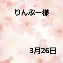 激レア限定10枚オカメインコパネル生地 ハンドメイド - メルカリ