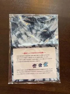 Item thumbnail for item e4ae122d-4e69-49ec-bda0-9c94054d218e