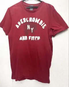 Abercrombie&Fitch ロゴTシャツ アバクロ M