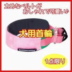 Item thumbnail for item 4d4a402f-43a0-4766-a37d-6dc72eb45952