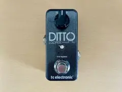 DITTO LOOPER