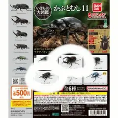 2026年最新】いきもの大図鑑の人気アイテム - メルカリ