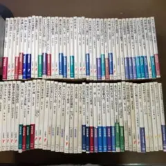 岩波新書 ドドンと８０冊まとめ売り