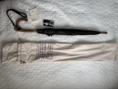 Item thumbnail for item 692c0432-4e58-4ea3-872c-e36676615603