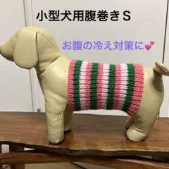 小型犬用腹巻きＳ　Ｈ648