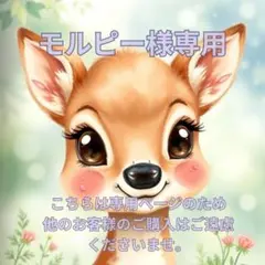 モルピー様 リクエスト 2点 まとめ商品