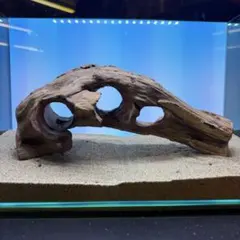 MMW-6463 特大マシンガンウッド 流木 アクアリウム - メルカリ