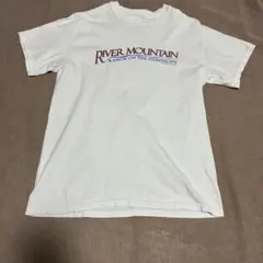 Hanes BEEFY-T 90s カレッジ風 Tシャツ M 白 USA製