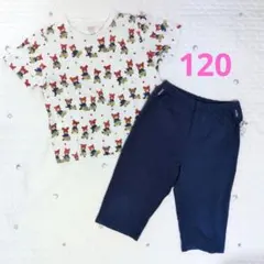 【未使用に近い】ユニクロ パジャマ 120 くまのがっこう