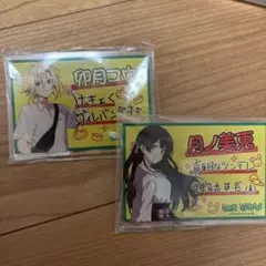 にじさんじ ヴィレヴァンコラボ缶バッジ 卯月コウ 2点 - メルカリ