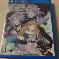 Black Wolves Saga:　ソフト