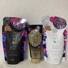 デンギモリ珍気 プレミアム シャンプー トリートメント セット