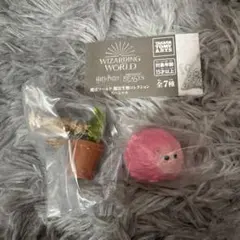 魔法生物コレクション ピグミーパフ マンドレイク ハリポタ ファンタビのサムネイル