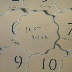④出産準備 春生まれベビーに マンスリーカード ブルー 水色