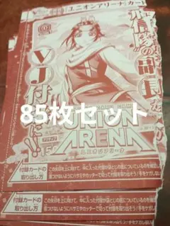Vジャンプ3月特大号 付録 ユニオンアリーナ キングダム 羌瘣 49枚