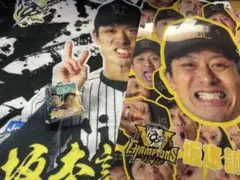 坂本誠志郎グッズまとめ売り