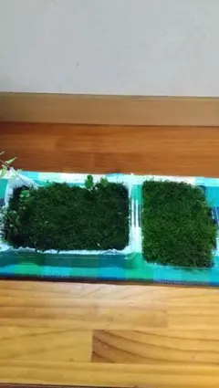 かおるんば様 リクエスト 2点 まとめ商品