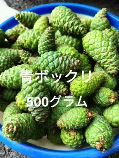 期間限定特価！】富山県産 大きめサイズ！黒松赤松青ぼっくり500g