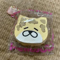 s*g様 Mellojoy DIYJOJO スクイーズ　にゃんこトースト　ネコ