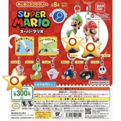 スーパーマリオ めじるしアクセサリー ルイージ・キノピオ・マリオ