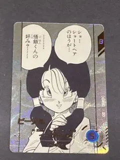 APT-024 ビーデル パラレル