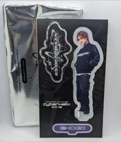 THE RAMPAGE Cyberhelix 岩谷翔吾 アクスタ