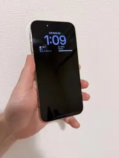 ジャンク品 iPhone 14 Pro Max 256GB 52222 - メルカリ