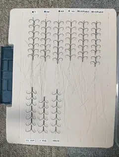 Item thumbnail for item dc0412fa-00cf-427a-b3df-7ea81026ec08