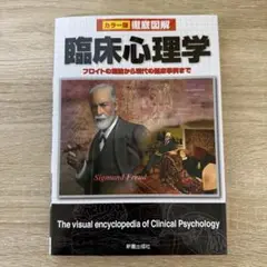 徹底図解臨床心理学 : カラー版