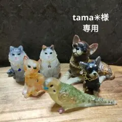 ☆tama✳︎様専用☆オルゴナイト☆猫、セキセイインコ、チワワ☆