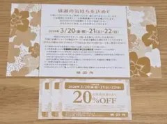 お客様感謝デー　割引クーポン　20%オフ　3枚　midori　長野　松本
